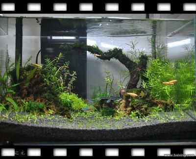 汨羅市年年有魚水族館（年年有魚酒店電話）