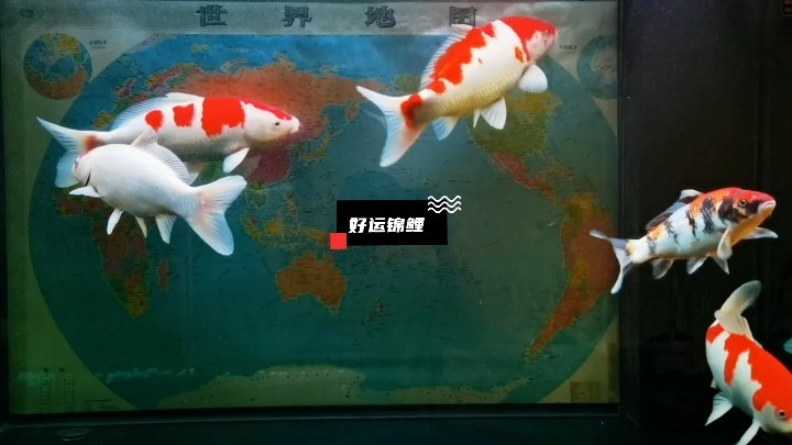 熬的夜終變成了光