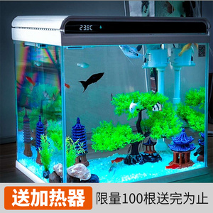 紅龍魚 能和雷龍魚混養的魚有哪些(能和雷龍魚混養的魚有哪些品種) 觀賞魚百科 能和雷龍魚混養的魚有哪些(能和雷龍魚混養的魚有哪些品種) 能和雷龍魚混養的魚有哪些(能和雷龍魚混養的魚有哪些品種) 觀賞魚百科