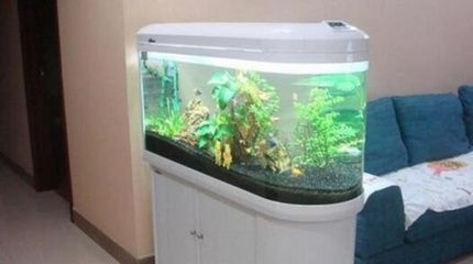 紅龍魚用黃燈烤有用嗎 森森怎么樣(森森怎么樣南美) 森森魚缸 森森怎么樣(森森怎么樣南美) 森森怎么樣(森森怎么樣南美) 森森魚缸