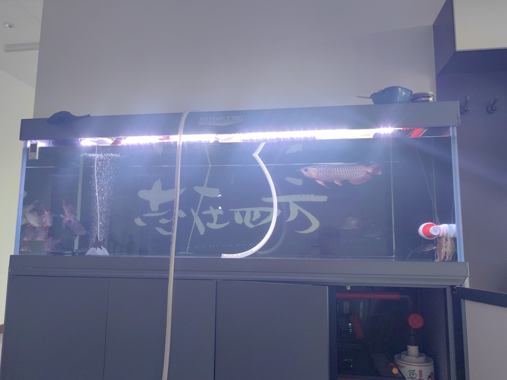 停食換水