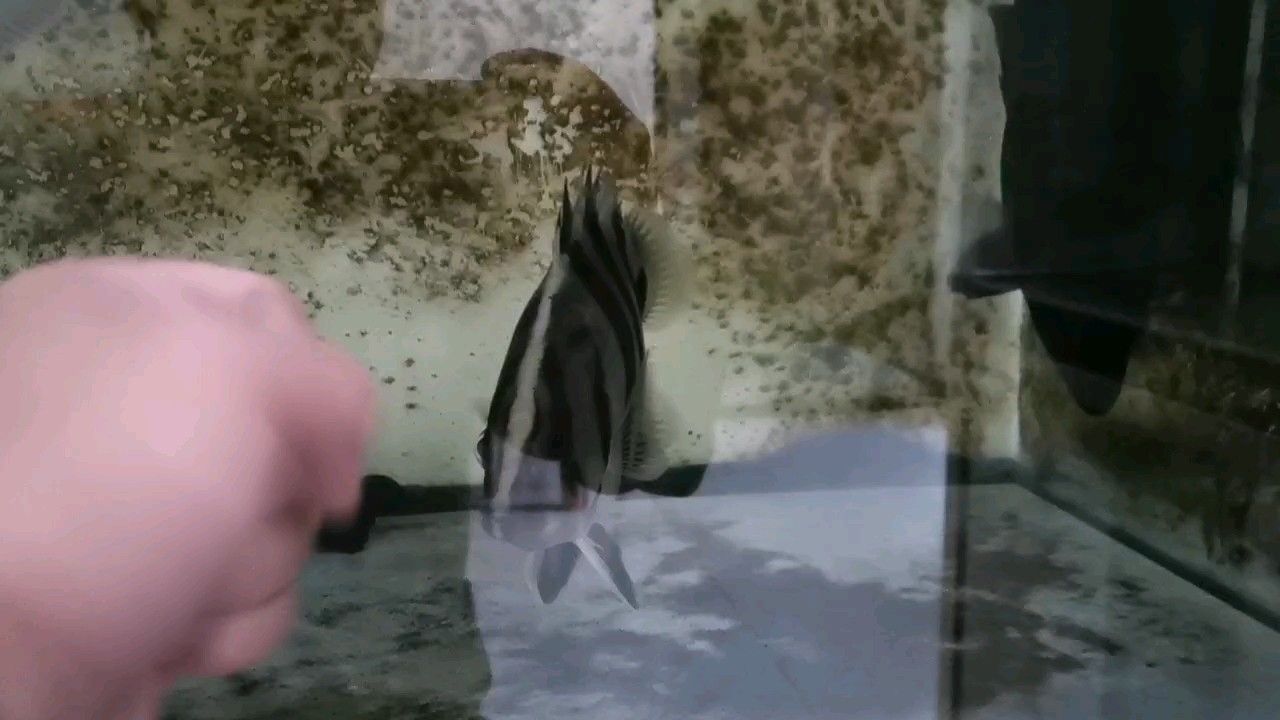 關(guān)燈及黑暗