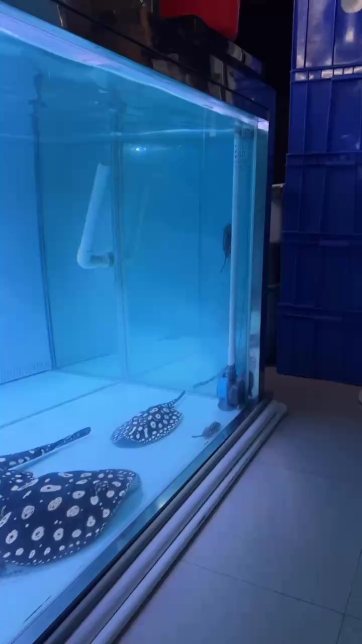 驚喜不斷