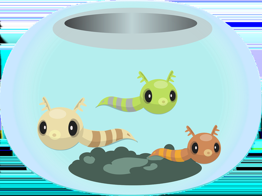 自制魚缸懸浮缸蓋教程（自制魚缸懸浮缸蓋教程視頻） 自制魚缸懸浮缸蓋教程（自制魚缸懸浮缸蓋教程視頻） 觀賞魚百科
