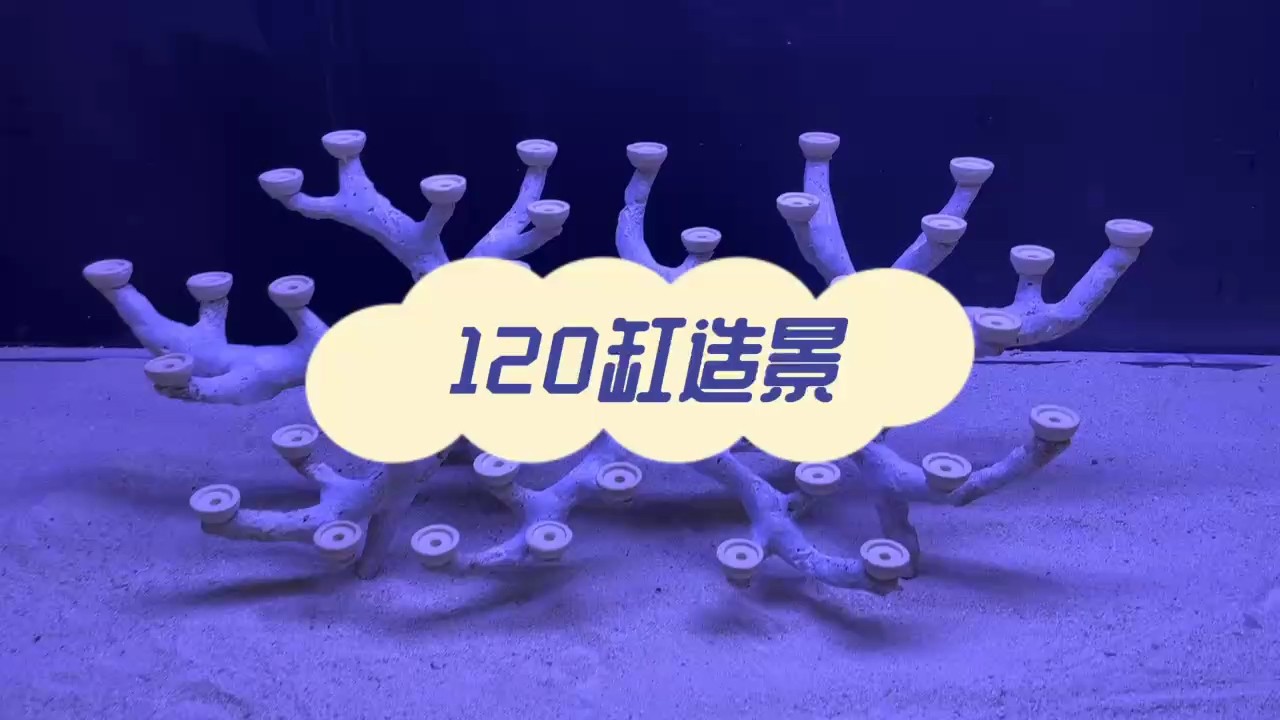 魚缸用增氧泵價格是多少:魚缸增氧機-xtrac增氧機-xtrac增氧機 120海缸造景,珊瑚缸造景 龍魚論壇 120海缸造景,珊瑚缸造景 120海缸造景,珊瑚缸造景 龍魚論壇