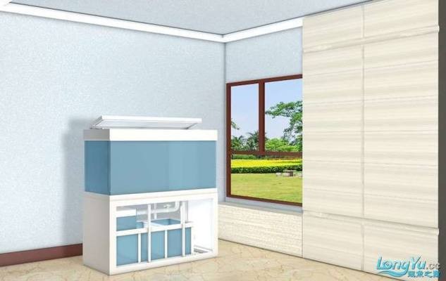 水鴨魚缸和彩蝶哪個好