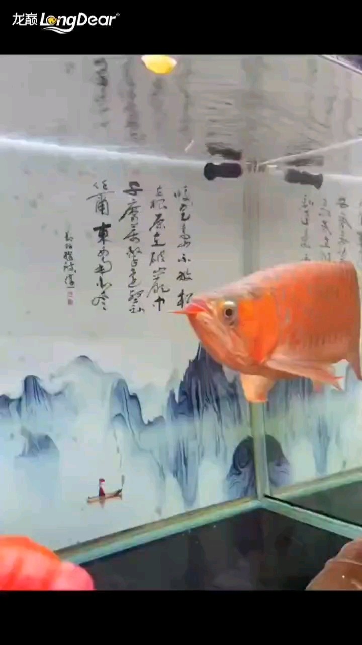 轉發(fā)189