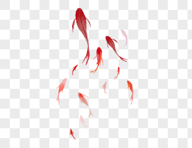 100種金魚圖片