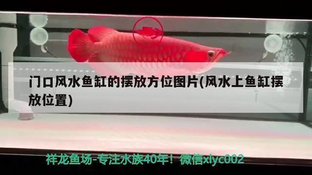 魚缸玻璃膠什么牌子好一點（魚缸玻璃膠什么牌子好一點耐用）
