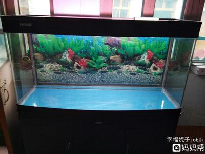 三門峽魚缸布景店在哪個位置啊