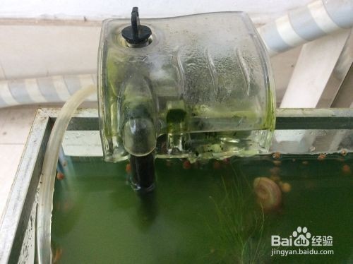 裕華區老窩漁業水族店（裕華區老窩漁業水族店電話）
