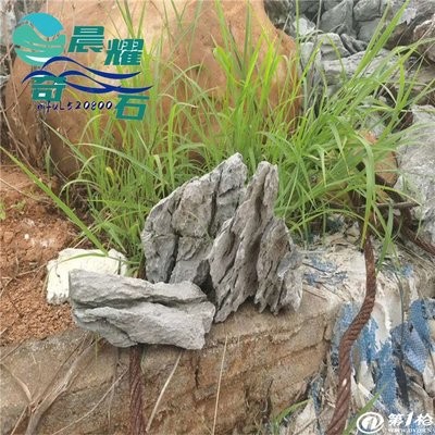 森林寵物醫院（森林寵物醫院電話）