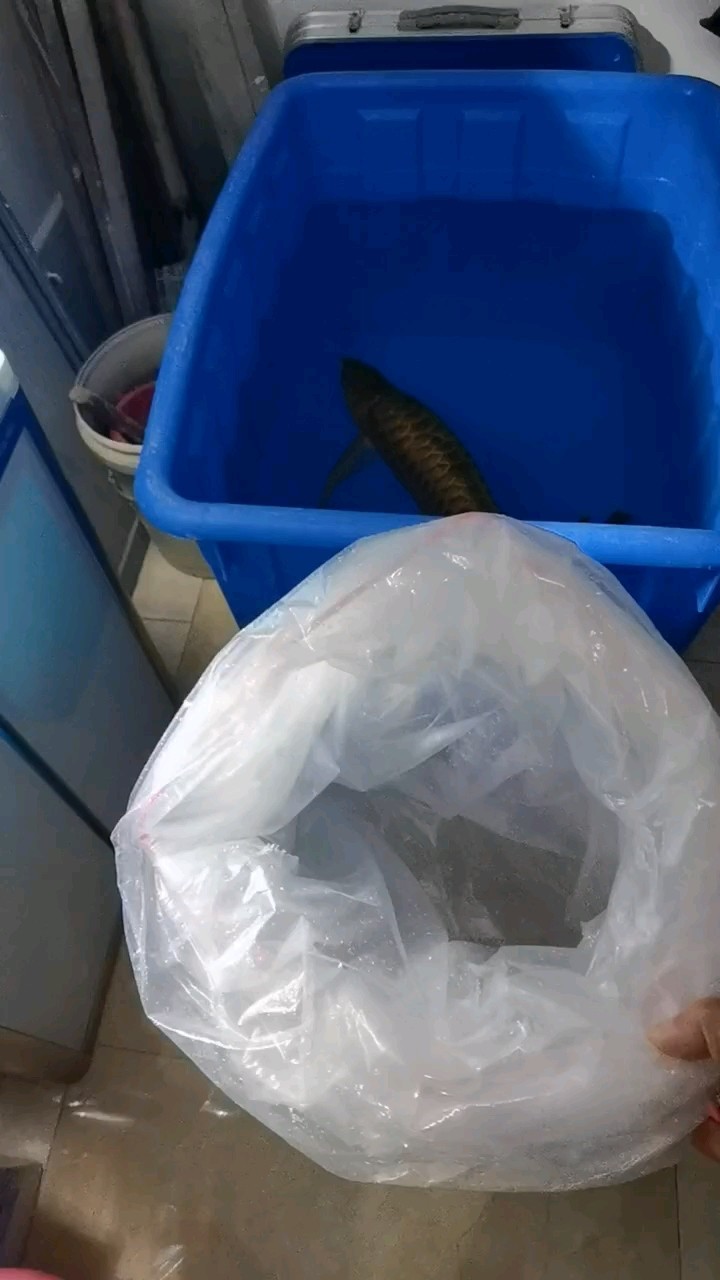 順順利利！[ciya]