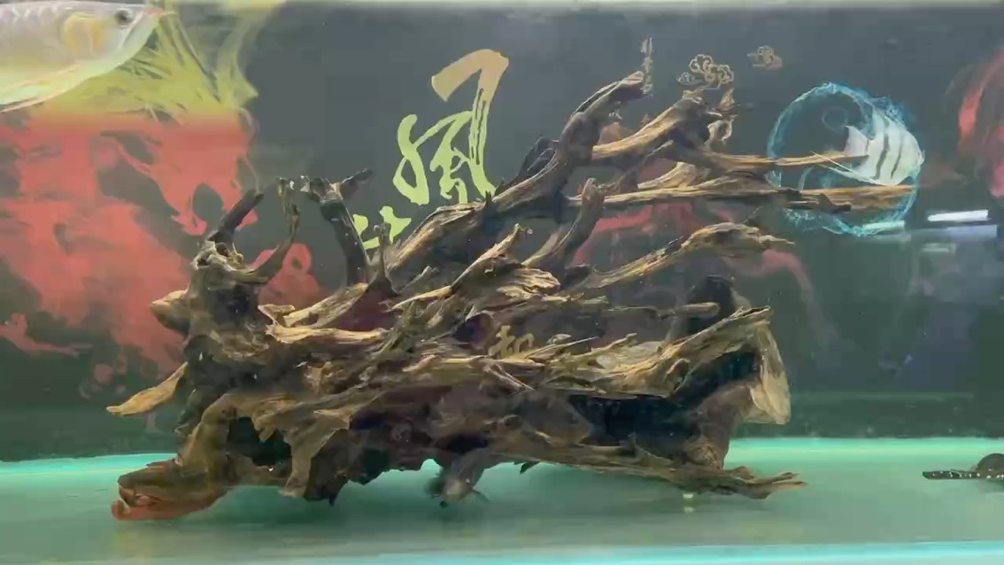 請大神們評價一下。