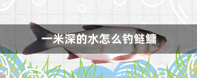 一米深的水怎么釣鰱鳙