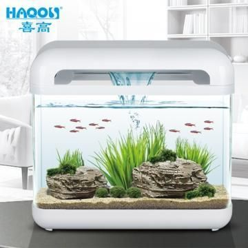 創(chuàng)意造景魚缸 瀑布：創(chuàng)意造景魚缸造景流沙瀑布的制作方法和建議和建議