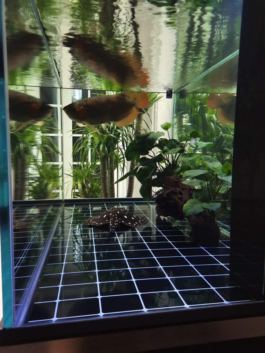 魚缸魚燈開關故障怎么處理視頻(魚缸led燈維修視頻教程)