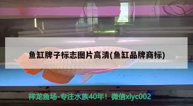 魚缸牌子標志圖片高清(魚缸品牌商標) 魚缸牌子標志圖片高清(魚缸品牌商標) 紅龍魚百科