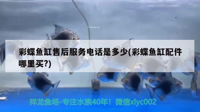 森森專賣店,鄭州店（鄭州森森網絡科技有限公司）