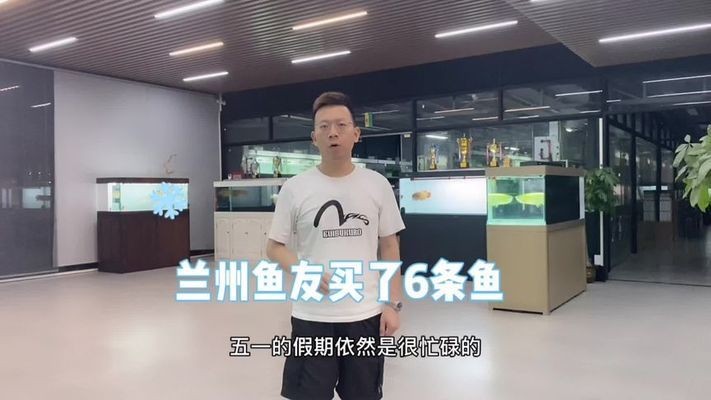 水鴉魚(yú)缸屬于什么檔次