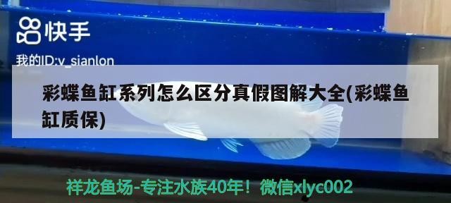 自制魚缸底濾器：打造高效、經(jīng)濟的魚缸底濾系統(tǒng)魚缸底濾器，自制魚缸底濾器視頻教學：打造高效、經(jīng)濟的魚缸底濾器