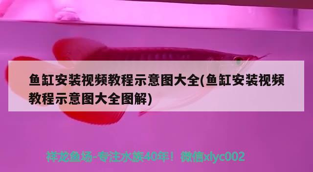自制魚缸底濾器：打造高效、經(jīng)濟的魚缸底濾系統(tǒng)魚缸底濾器，自制魚缸底濾器視頻教學：打造高效、經(jīng)濟的魚缸底濾器