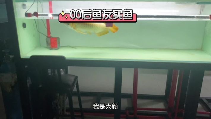 水鴉魚(yú)缸屬于什么檔次
