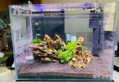 大型魚缸怎么困水：大型魚缸困水怎么辦？