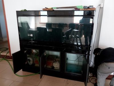 1.2米魚(yú)缸有多少升水：1.2米的魚(yú)缸可以容納約360升水，但實(shí)際使用中通常只有320升水