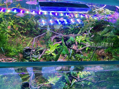 漢臺區鑫江源水族館（漢臺區鑫江源水族館地址）
