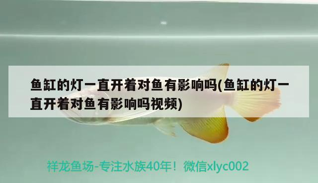 博特水族官網在哪里？，博特水族（botesz.com）官方網站可訪問