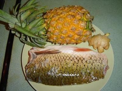 噴點菠蘿魚常見病：噴點菠蘿魚常見病的預防措施 噴點菠蘿魚常見病：噴點菠蘿魚常見病的預防措施 魚缸百科 第1張