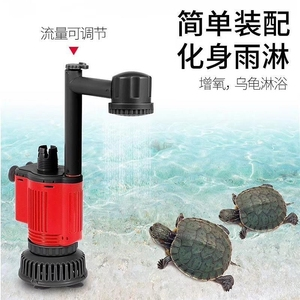 太原市迎澤區勇勇日生水族經銷部