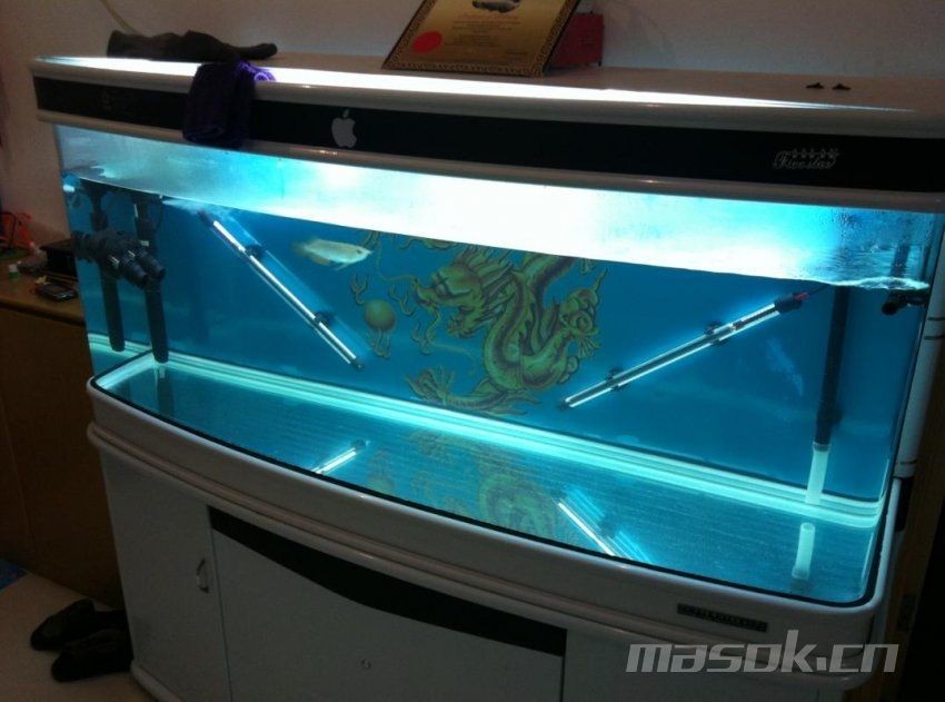 大魚缸怎么加熱的：大魚缸加熱器加熱器的選擇和使用魚缸加熱器的方法