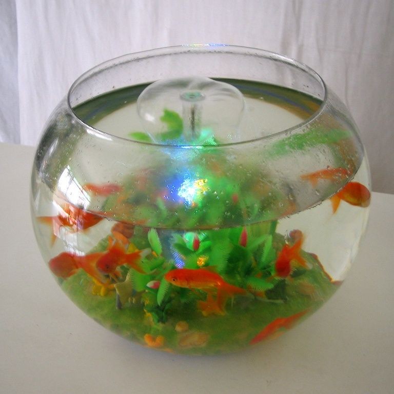 玻璃園魚缸價格多少：如何選擇合適的玻璃園魚缸？