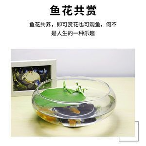 玻璃園魚缸價格多少：如何選擇合適的玻璃園魚缸？
