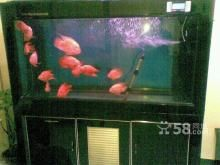 處理二手魚缸9成新魚缸魚缸二手：二手魚缸如何處理？ 處理二手魚缸9成新魚缸魚缸二手：二手魚缸如何處理？ 魚缸百科 第2張