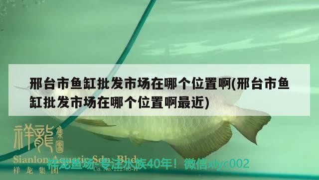 邢臺市魚缸批發市場在哪個位置啊(邢臺市魚缸批發市場在哪個位置啊最近) 邢臺市魚缸批發市場在哪個位置啊(邢臺市魚缸批發市場在哪個位置啊最近) 虎魚百科