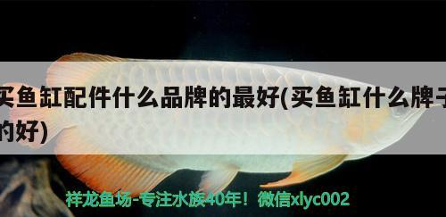 湘潭魚缸定制、湘潭魚缸訂做的信息別忘了關(guān)注祥龍魚場哦，湘潭魚缸定做的注意事項(xiàng)