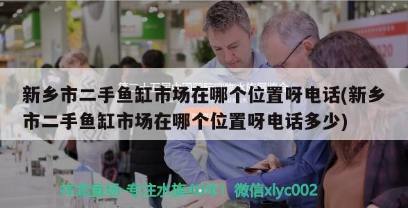 新鄉市二手魚缸市場在哪個位置呀電話(新鄉市二手魚缸市場在哪個位置呀電話多少)