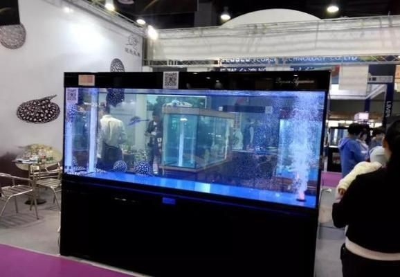超白玻璃 魚缸 技巧：超白玻璃魚缸的選購技巧
