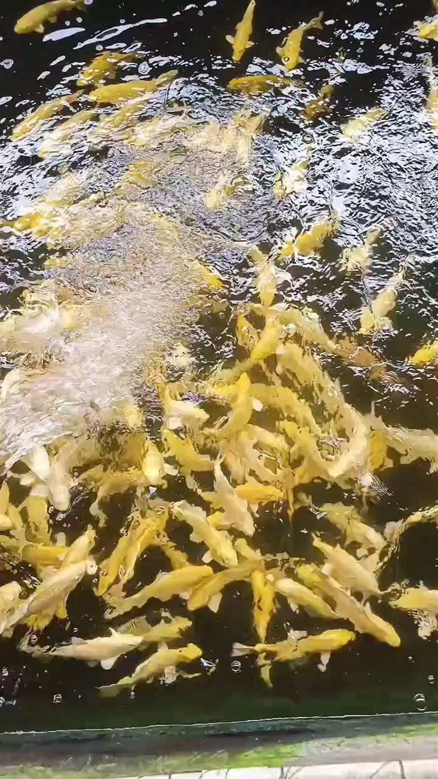無標題，只想全部打包帶走