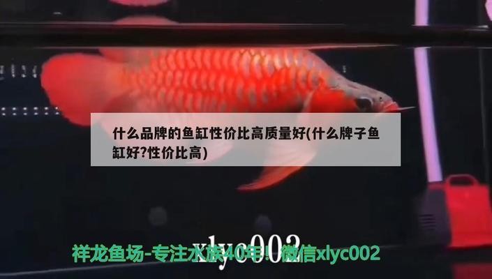 森森803壁掛過濾桶原理（森森壁掛式803過濾器改造） 森森803壁掛過濾桶原理（森森壁掛式803過濾器改造） 森森魚缸