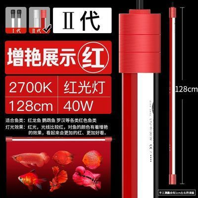 紅龍魚用白燈還是黃燈好看點(diǎn)：紅龍魚使用白燈和黃燈的一些詳細(xì)信息