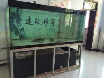 1米8長60厘米寬魚缸多重：一個長1米8寬60厘米的魚缸，其重量可能會有所不同