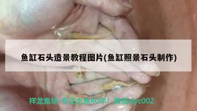 魚缸石頭造景教程圖片(魚缸照景石頭制作) 魚缸石頭造景教程圖片(魚缸照景石頭制作) 森森魚缸