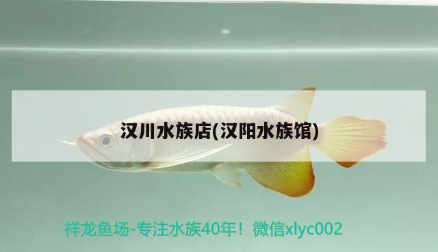 漢川水族店(漢陽水族館)