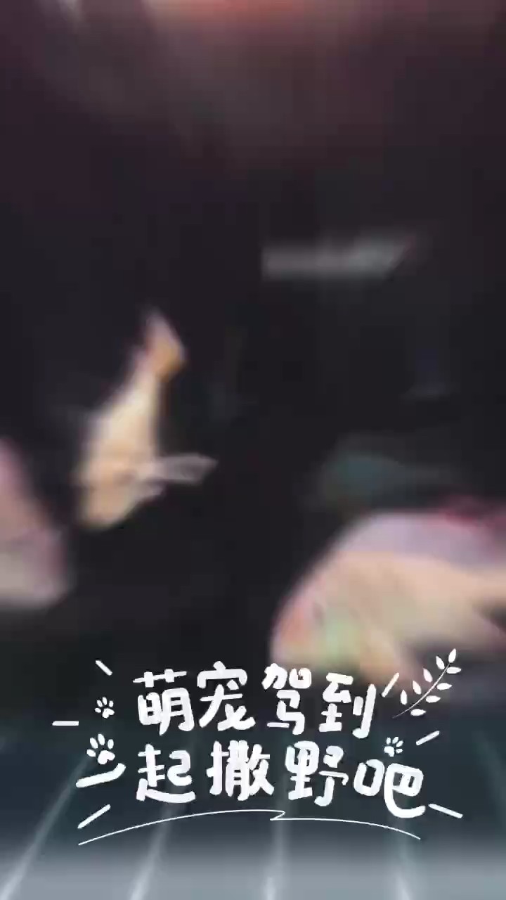 快樂成長吧！