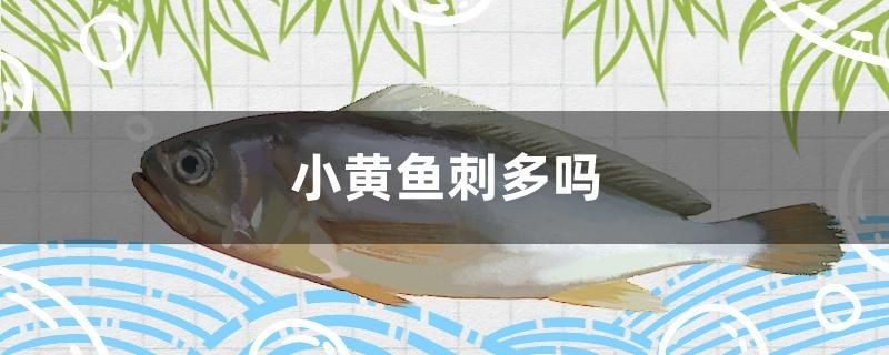 虎魚的養殖方法和注意事項視頻(虎魚的養殖技術)