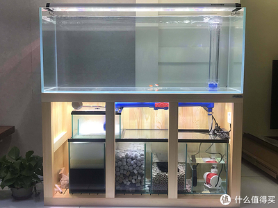 西安市蓮湖區(qū)楓煜淶水族店